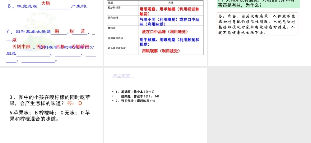 1.1感觉世界（第二课时）