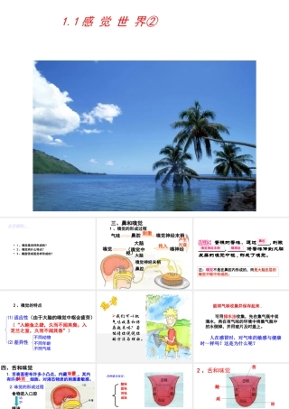 1.1感觉世界（第二课时）