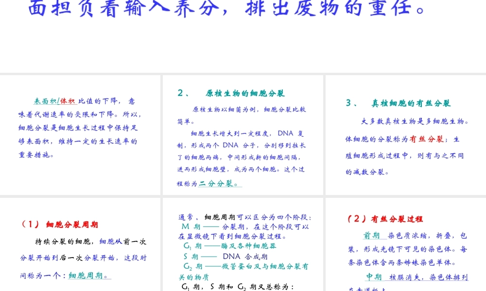 2012年秋七年级生物上册《第一单元 第二章 第二节 细胞的分裂和分化》课件5 济南版