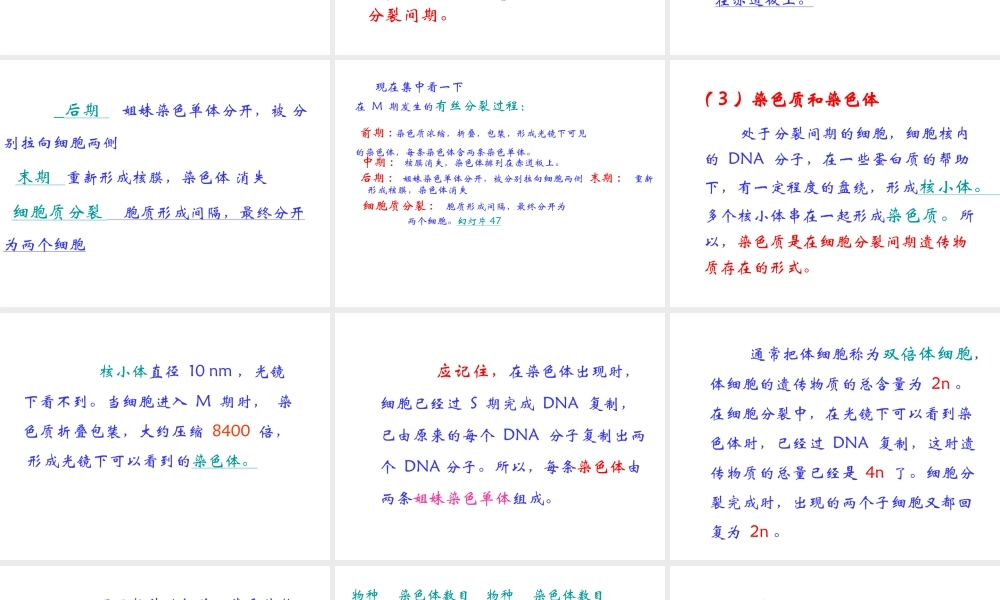 2012年秋七年级生物上册《第一单元 第二章 第二节 细胞的分裂和分化》课件5 济南版