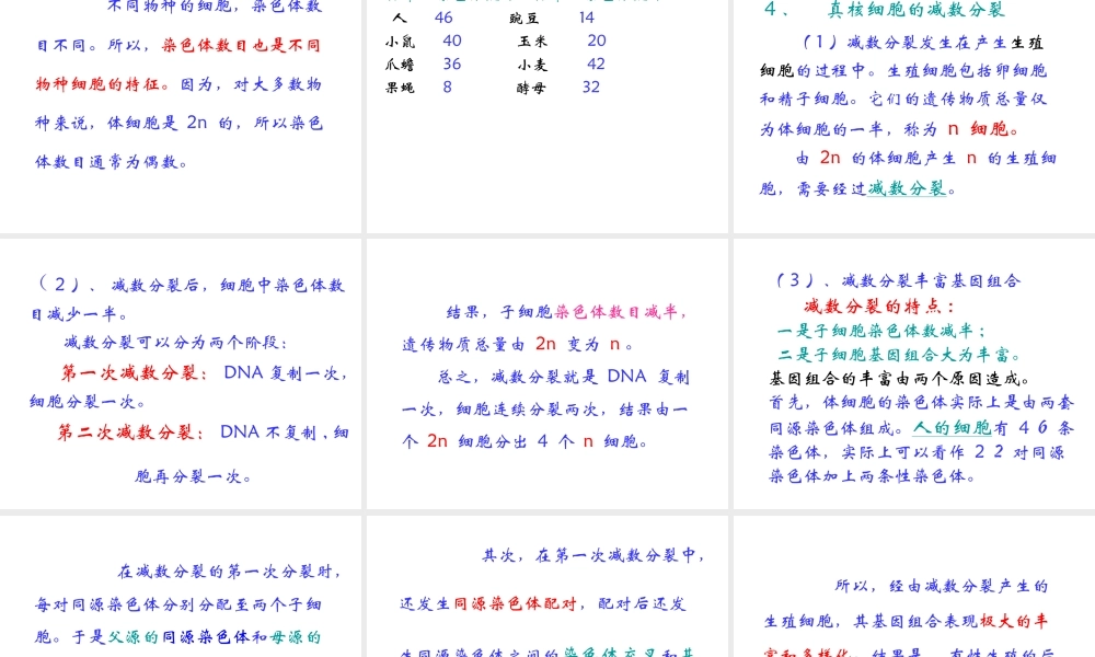 2012年秋七年级生物上册《第一单元 第二章 第二节 细胞的分裂和分化》课件5 济南版