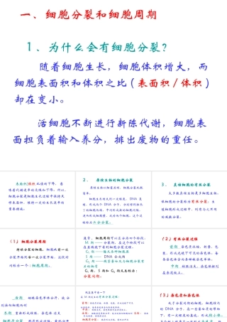 2012年秋七年级生物上册《第一单元 第二章 第二节 细胞的分裂和分化》课件5 济南版