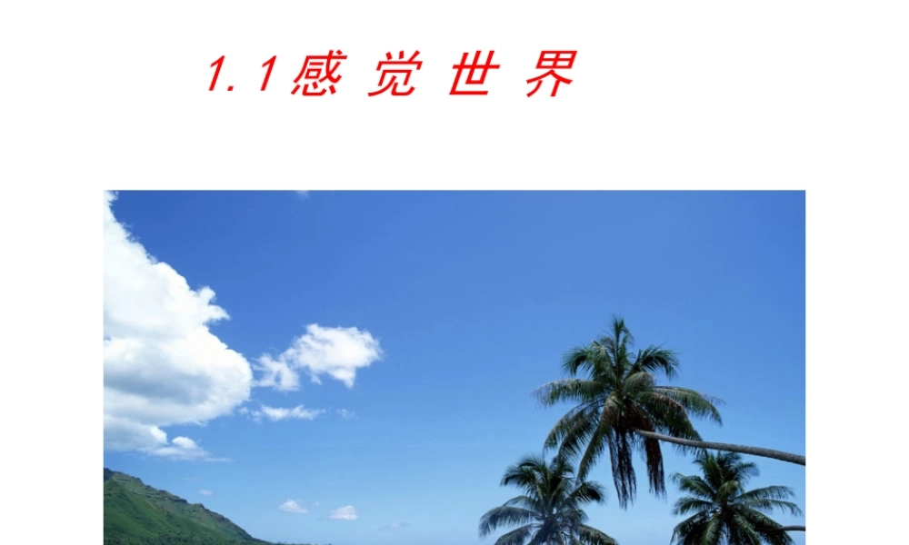 1.1感觉世界（第一课时）