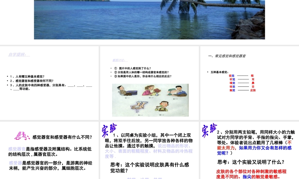 1.1感觉世界（第一课时）