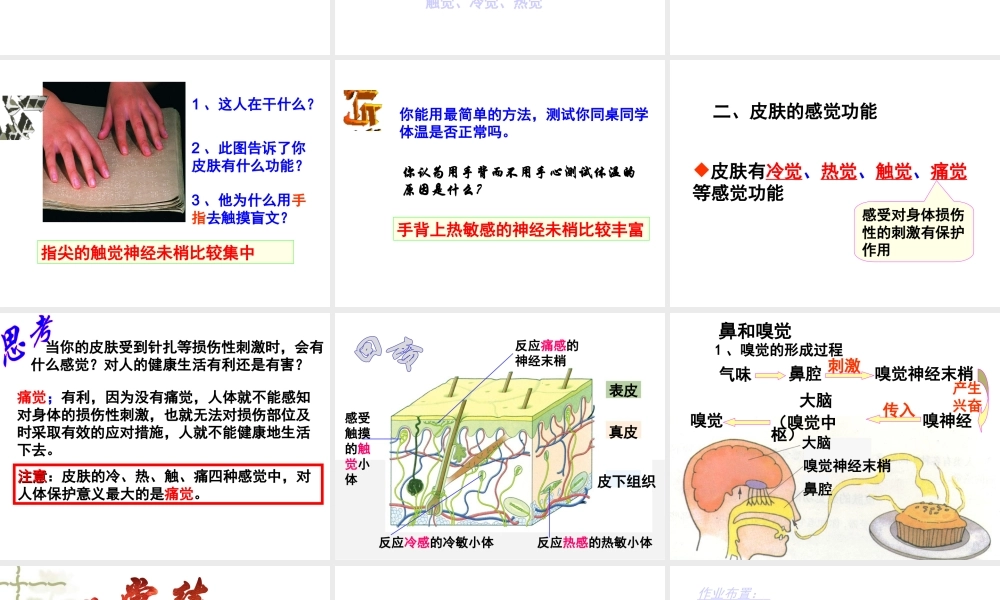 1.1感觉世界（第一课时）