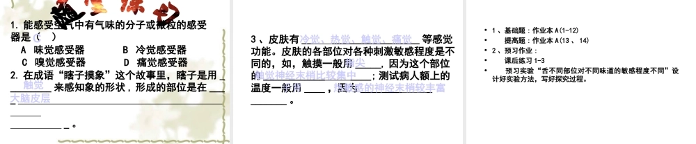 1.1感觉世界（第一课时）