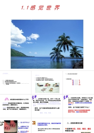 1.1感觉世界（第一课时）
