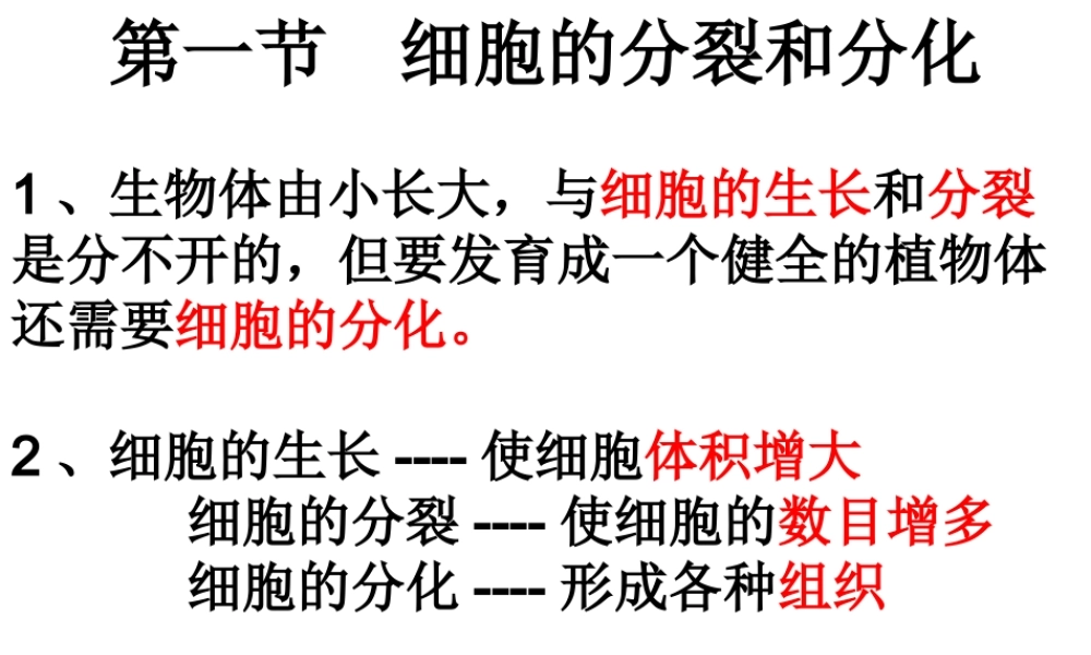 2012年秋七年级生物上册《第一单元 第二章 第二节 细胞的分裂和分化》课件7 济南版