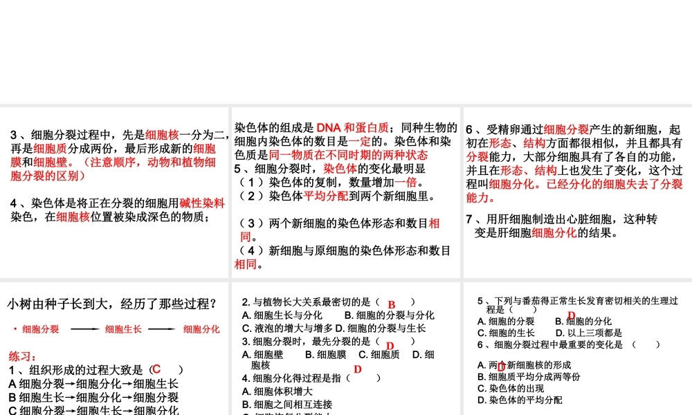2012年秋七年级生物上册《第一单元 第二章 第二节 细胞的分裂和分化》课件7 济南版