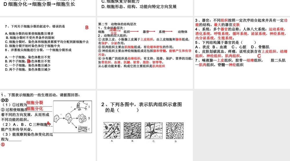 2012年秋七年级生物上册《第一单元 第二章 第二节 细胞的分裂和分化》课件7 济南版