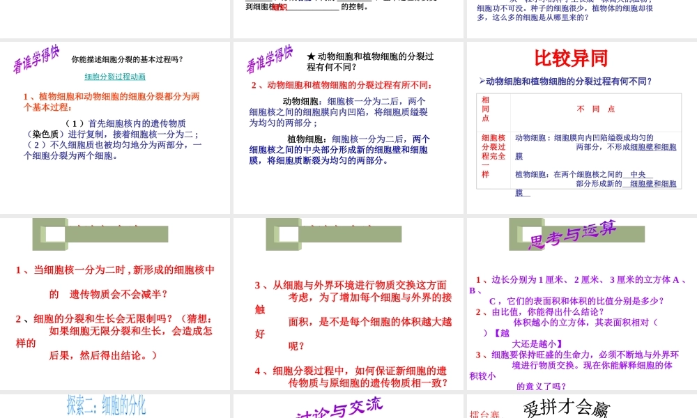 2012年秋七年级生物上册《第一单元 第二章 第二节 细胞的分裂和分化》课件8 济南版