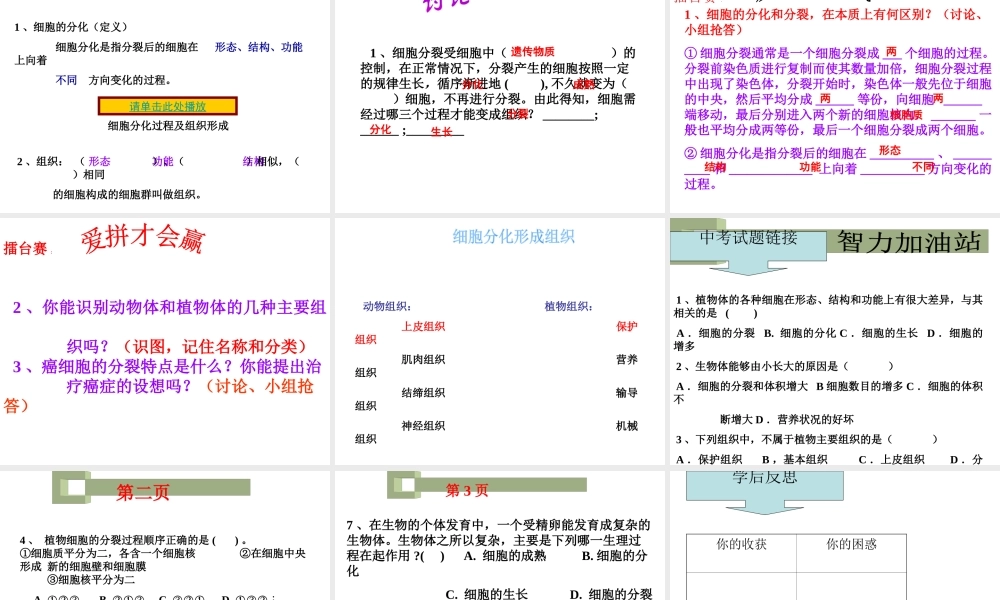 2012年秋七年级生物上册《第一单元 第二章 第二节 细胞的分裂和分化》课件8 济南版