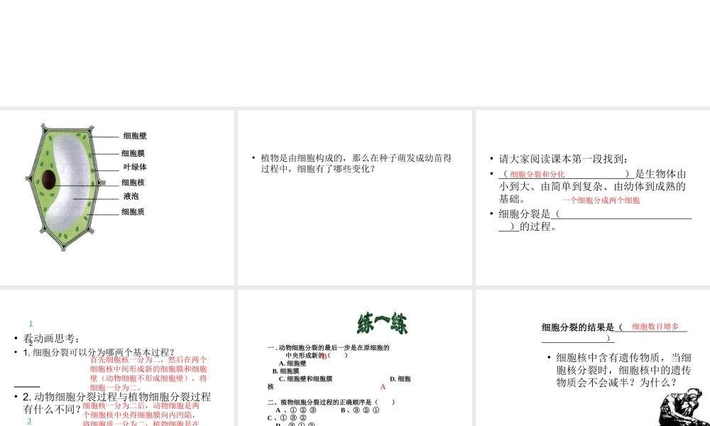 2012年秋七年级生物上册《第一单元 第二章 第二节 细胞的分裂和分化》课件9 济南版