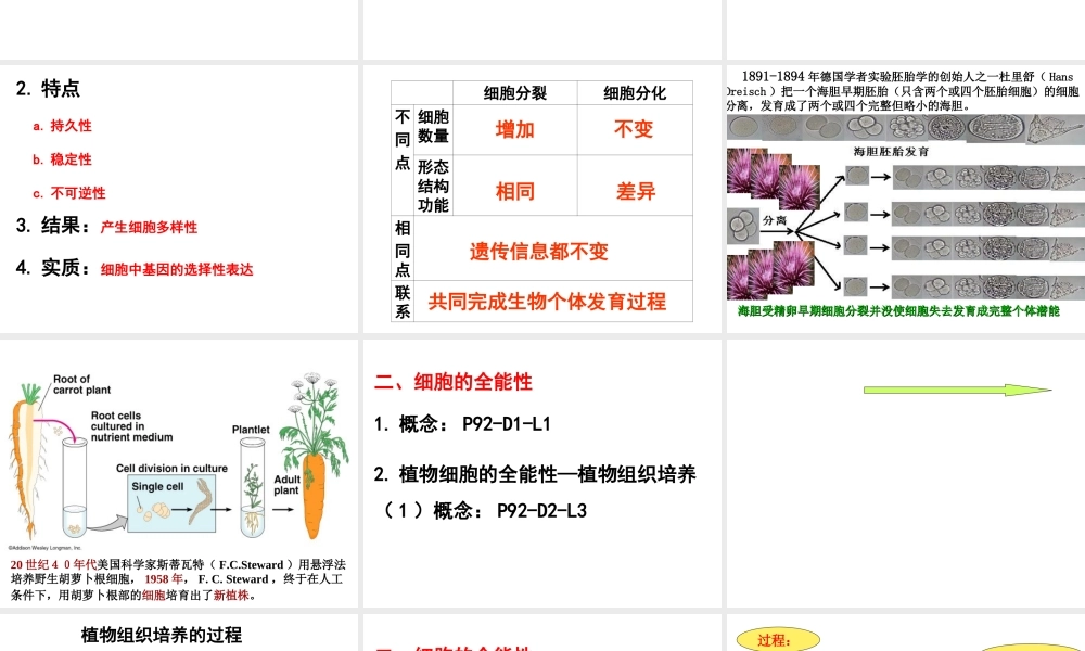 2012年秋七年级生物上册《第一单元 第二章 第二节 细胞的分裂和分化》课件11 济南版