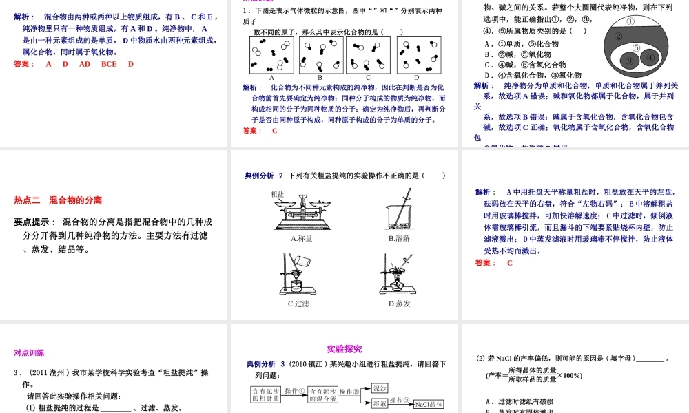 2012年2月中考科学一轮复习 第29课物质的分类精品课件 浙教版