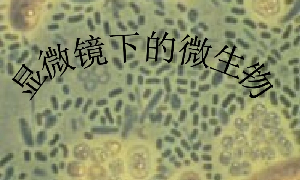 1.2.5.显微镜下的生物（一）