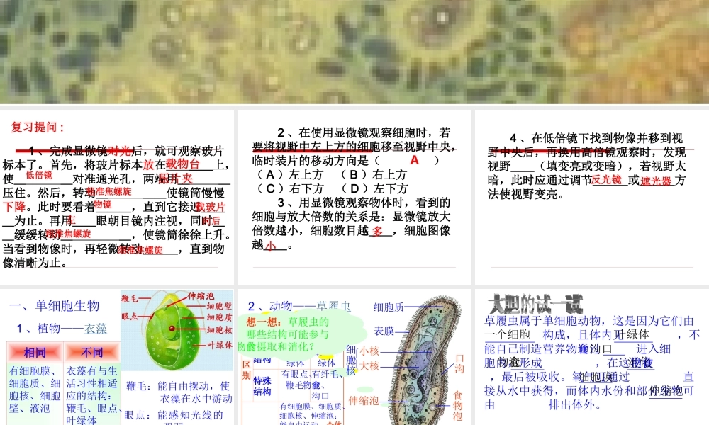 1.2.5.显微镜下的生物（一）
