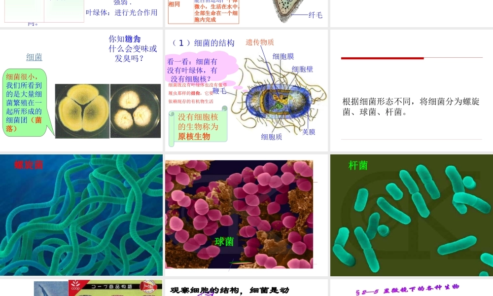 1.2.5.显微镜下的生物（一）