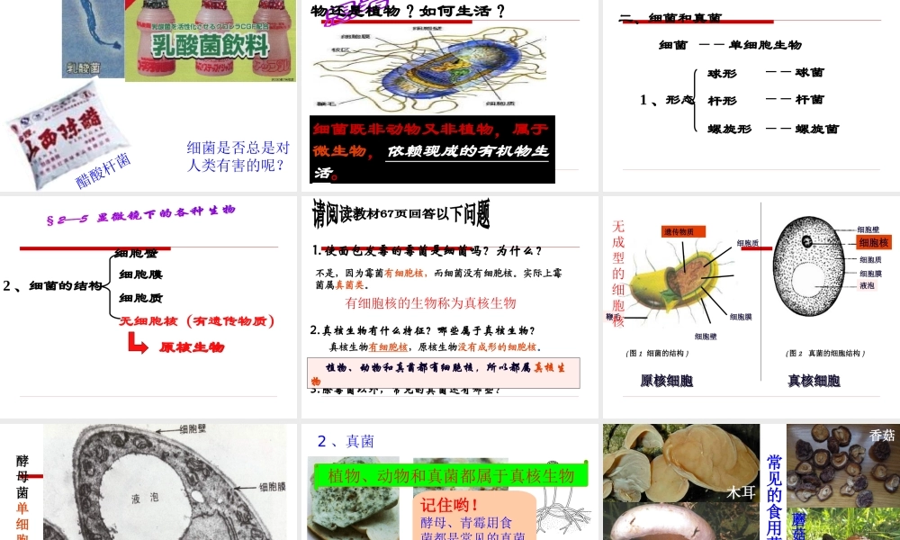 1.2.5.显微镜下的生物（一）