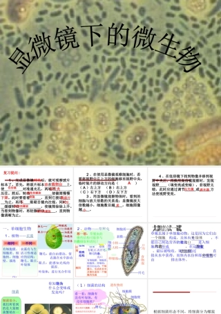 1.2.5.显微镜下的生物（一）