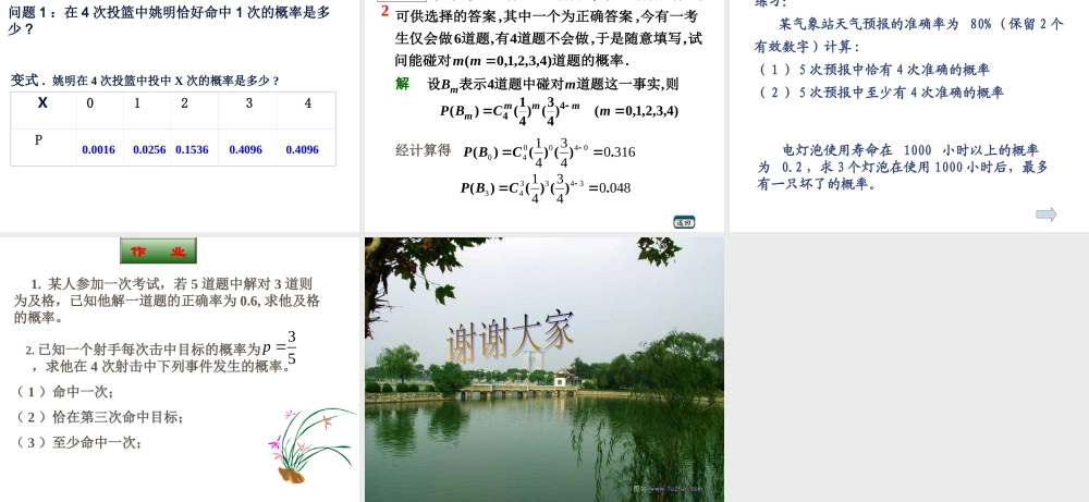 2.4二项分布
