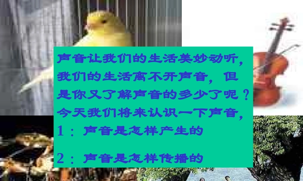 1.2声音的发生与传播