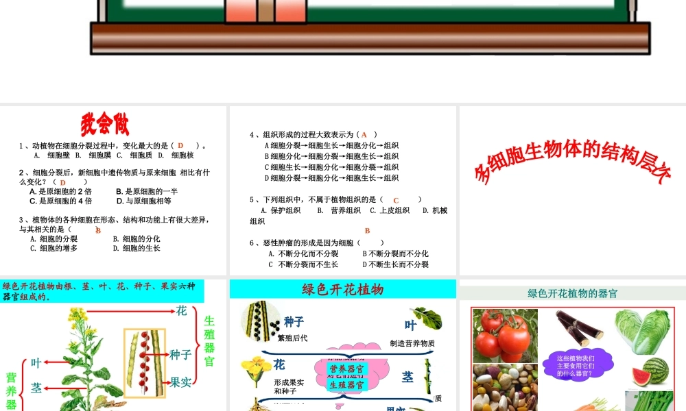 2012年秋七年级生物上册《第一单元 第二章 第三节 多细胞生物体的结构层次》课件2 济南版