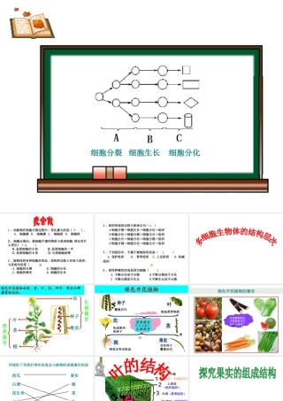 2012年秋七年级生物上册《第一单元 第二章 第三节 多细胞生物体的结构层次》课件2 济南版