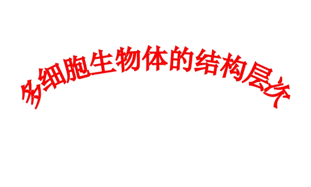 2012年秋七年级生物上册《第一单元 第二章 第三节 多细胞生物体的结构层次》课件4 济南版