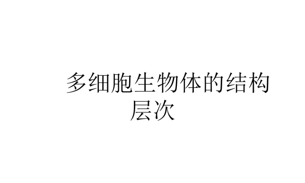 2012年秋七年级生物上册《第一单元 第二章 第三节 多细胞生物体的结构层次》课件5 济南版