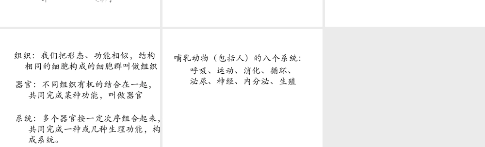 2012年秋七年级生物上册《第一单元 第二章 第三节 多细胞生物体的结构层次》课件5 济南版