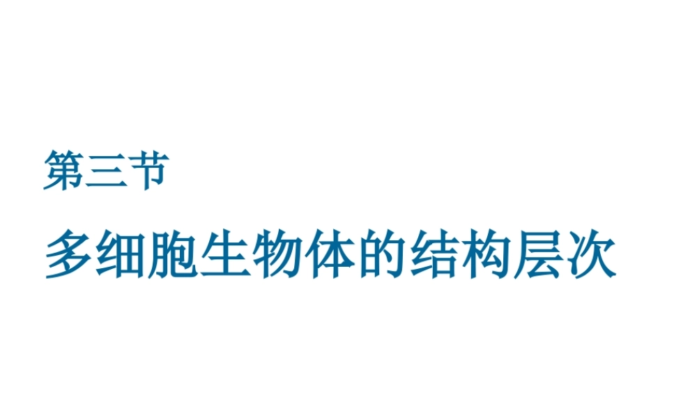 2012年秋七年级生物上册《第一单元 第二章 第三节 多细胞生物体的结构层次》课件6 济南版