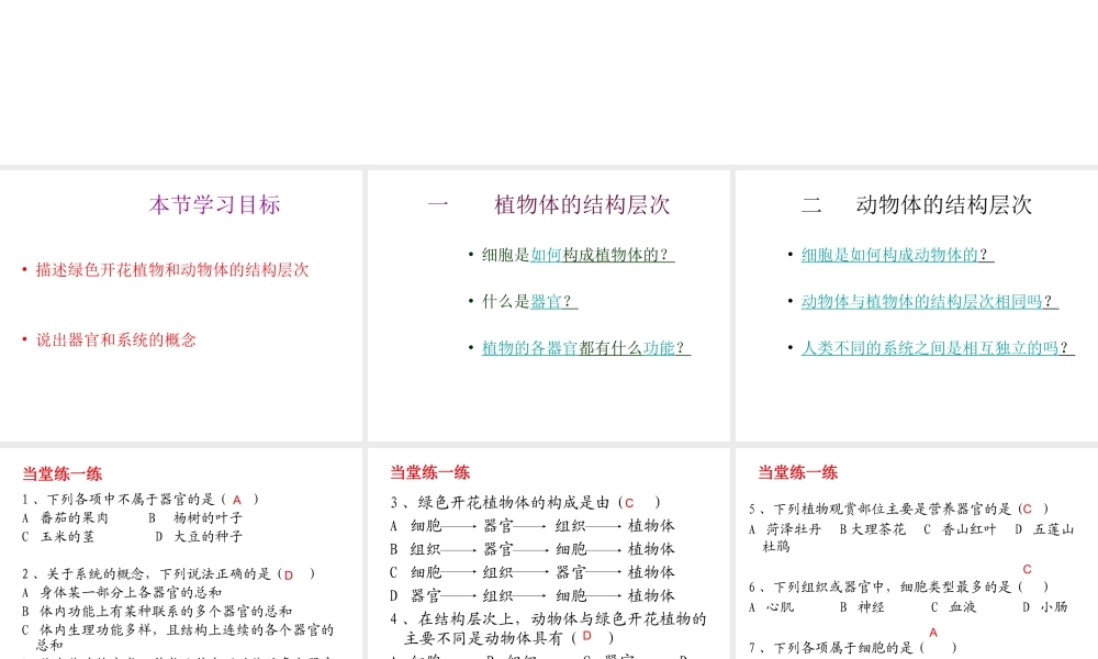 2012年秋七年级生物上册《第一单元 第二章 第三节 多细胞生物体的结构层次》课件7 济南版