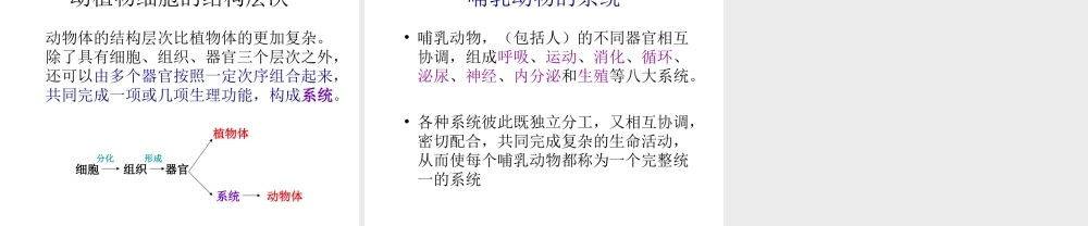 2012年秋七年级生物上册《第一单元 第二章 第三节 多细胞生物体的结构层次》课件7 济南版