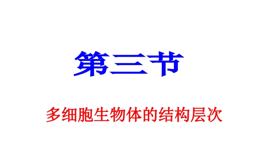 2012年秋七年级生物上册《第一单元 第二章 第三节 多细胞生物体的结构层次》课件8 济南版