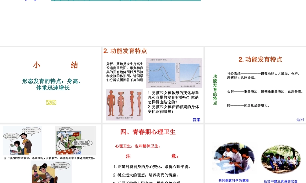 1.3 青春期课件1