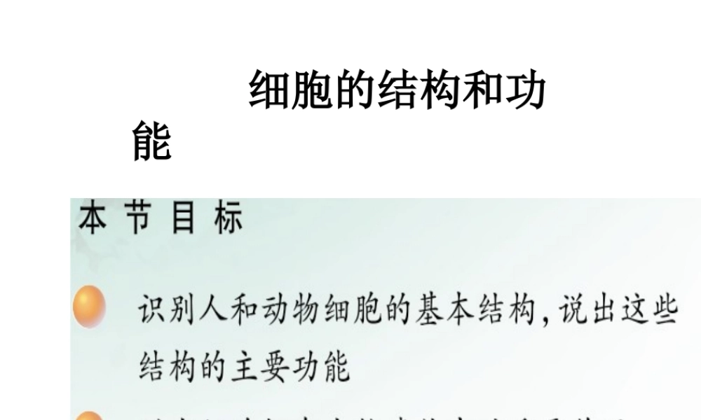 2012年秋七年级生物上册《第一单元 第二章 第一节 细胞的结构和功能》课件1 济南版
