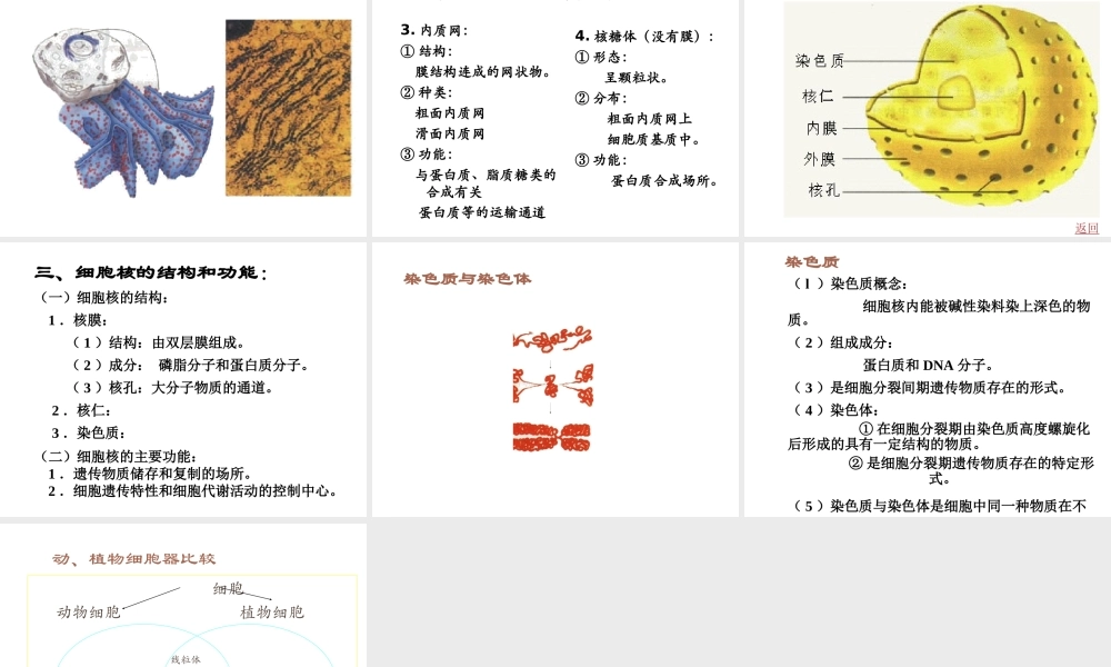 2012年秋七年级生物上册《第一单元 第二章 第一节 细胞的结构和功能》课件1 济南版