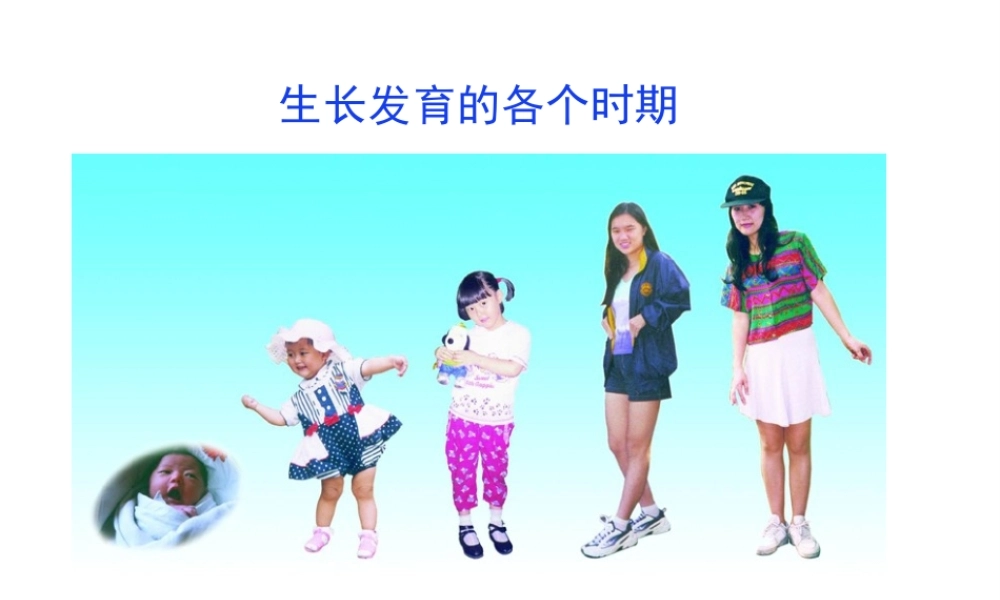 1.3 青春期课件2