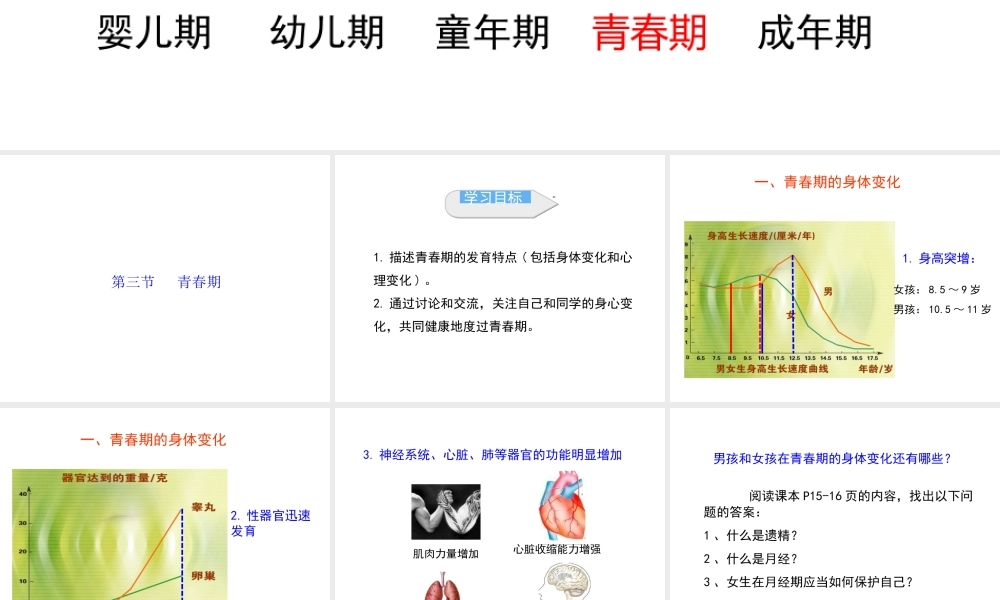 1.3 青春期课件2