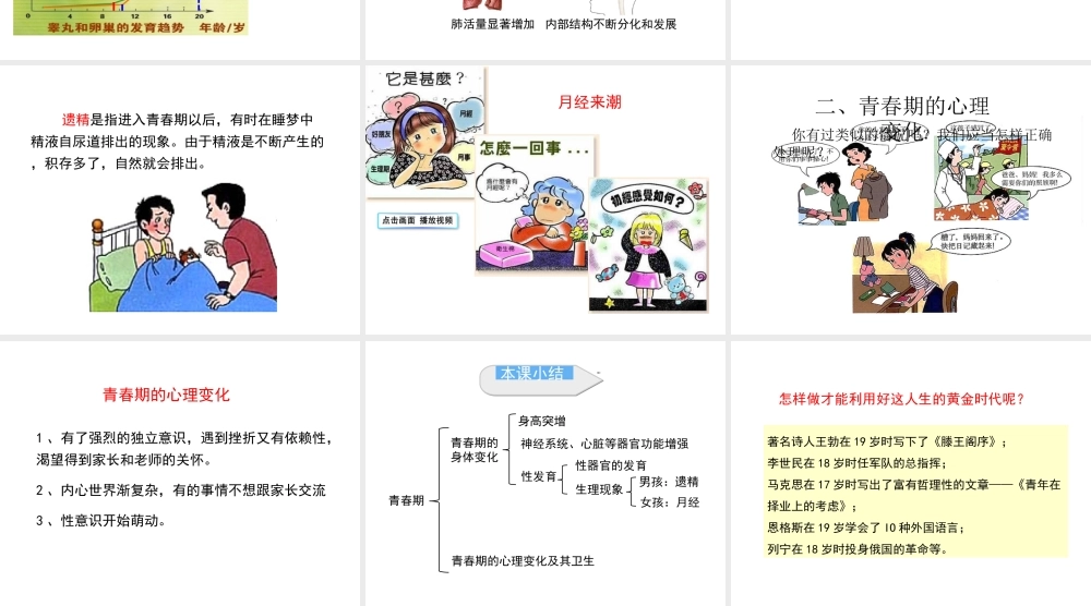 1.3 青春期课件2