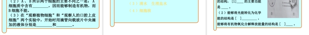 2012年秋七年级生物上册《第一单元 第二章 第一节 细胞的结构和功能》课件2 济南版