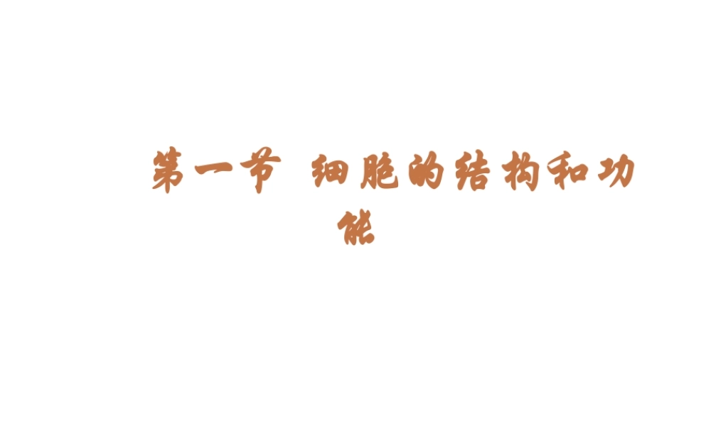2012年秋七年级生物上册《第一单元 第二章 第一节 细胞的结构和功能》课件3 济南版