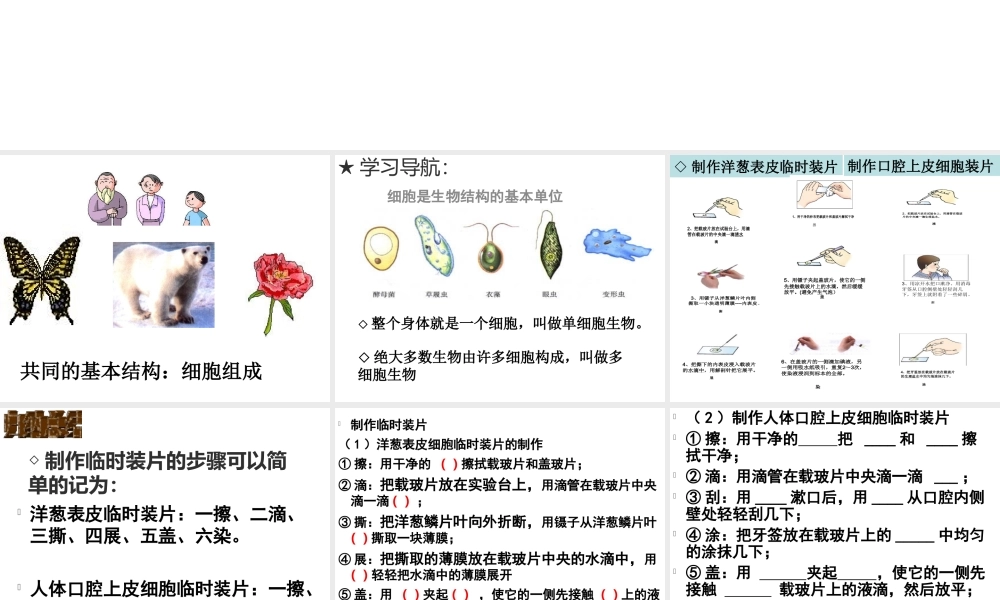 2012年秋七年级生物上册《第一单元 第二章 第一节 细胞的结构和功能》课件3 济南版