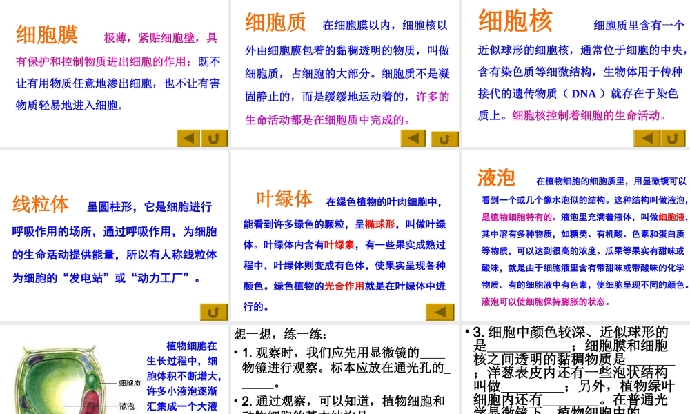 2012年秋七年级生物上册《第一单元 第二章 第一节 细胞的结构和功能》课件3 济南版