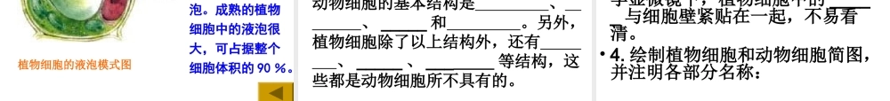 2012年秋七年级生物上册《第一单元 第二章 第一节 细胞的结构和功能》课件3 济南版