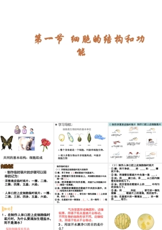 2012年秋七年级生物上册《第一单元 第二章 第一节 细胞的结构和功能》课件3 济南版