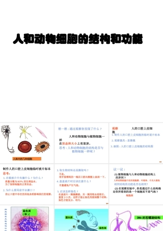 2012年秋七年级生物上册《第一单元 第二章 第一节 细胞的结构和功能》课件5 济南版