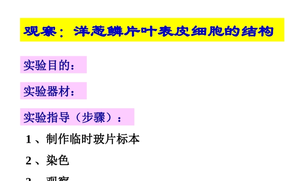 2012年秋七年级生物上册《第一单元 第二章 第一节 细胞的结构和功能》课件6 济南版