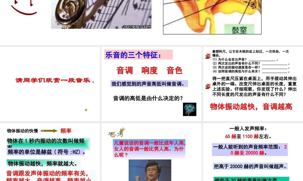 1.3耳和听觉（弟2课时）